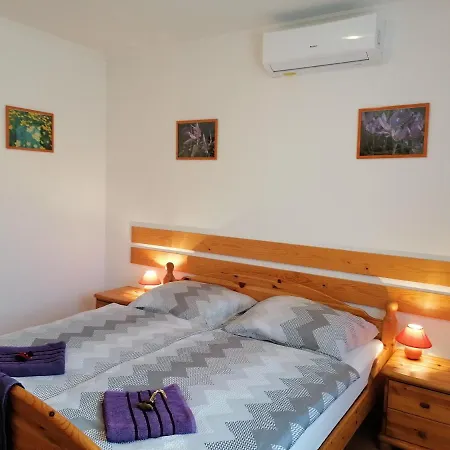Guest house 8888 Apartmanhaz *